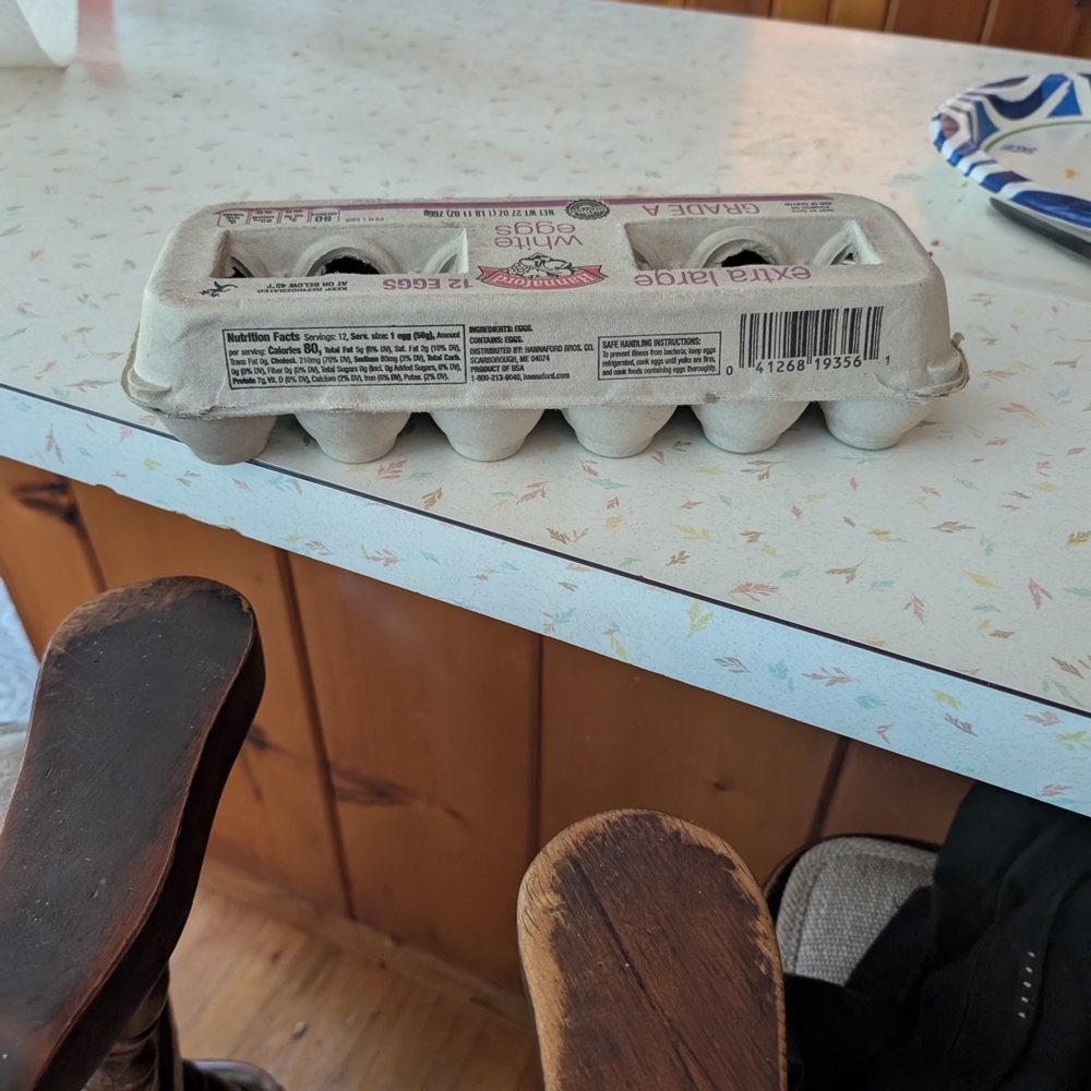 Egg Carton with Extra Large Eggs